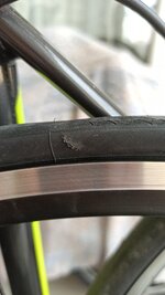 IMG_20200614_193752.jpg IMG_20200614_193752.jpg