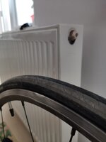 WhatsApp Image 2020-06-16 at 10.55.24.jpeg