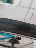 WhatsApp Image 2020-06-20 at 15.22.08.jpeg