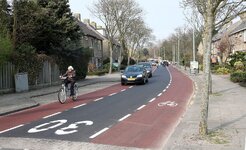 shared_bike_road.jpg