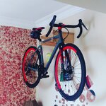 IMG_20200704_152453_959.jpg IMG_20200704_152453_959.jpg