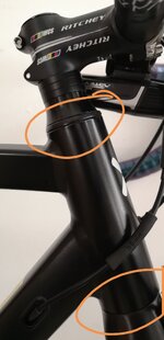 IMG_20200713_092938.jpg IMG_20200713_092938.jpg