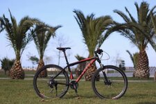 138BFFBF-57FA-4FD3-B224-E5655F7ECDCC.jpeg 138BFFBF-57FA-4FD3-B224-E5655F7ECDCC.jpeg