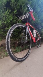 IMG_20200720_195741.jpg IMG_20200720_195741.jpg