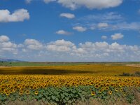 20200726_112659.jpg 20200726_112659.jpg