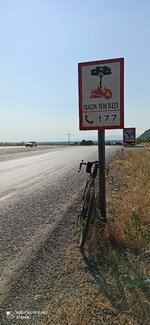 IMG_20200803_095426.jpg