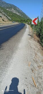 IMG_20200803_101503.jpg