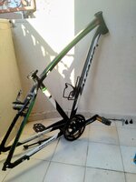 IMG_20200729_191007.jpg IMG_20200729_191007.jpg