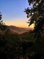 WhatsApp Image 2020-08-13 at 17.17.40.jpeg