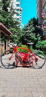 20200823_111302 (1).jpg