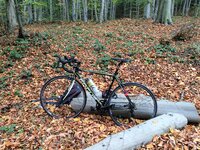 IMG_3145.JPG IMG_3145.JPG