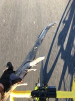 WhatsApp Image 2020-09-22 at 16.27.28.jpeg