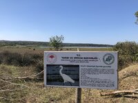 IMG_8591.JPG IMG_8591.JPG