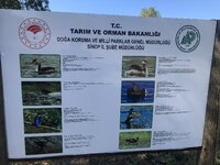 IMG_8594.JPG IMG_8594.JPG