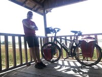 IMG_8610.JPG IMG_8610.JPG