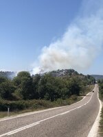 IMG_8573.JPG IMG_8573.JPG