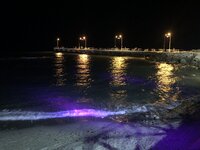 IMG_8642.JPG IMG_8642.JPG