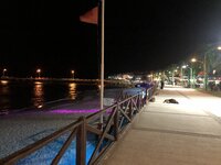 IMG_8645.JPG IMG_8645.JPG