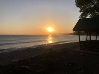 IMG_8687.JPG IMG_8687.JPG