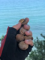 IMG_8741.JPG IMG_8741.JPG