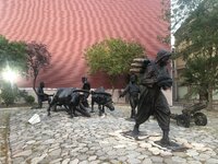 IMG_8785.JPG IMG_8785.JPG