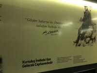 IMG_8809.JPG IMG_8809.JPG