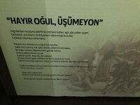 IMG_8812.JPG IMG_8812.JPG