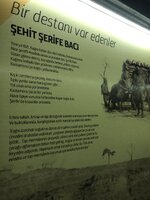 IMG_8815.JPG IMG_8815.JPG