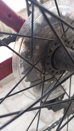 IMG_20201004_165732.jpg IMG_20201004_165732.jpg