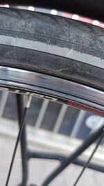 IMG_20201006_153403.jpg