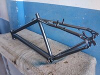 IMG_20201024_122446.jpg IMG_20201024_122446.jpg