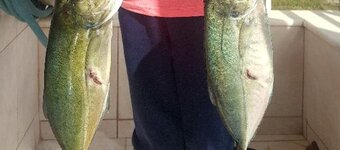 Screenshot_20201025-174334_Samsung Internet.jpg