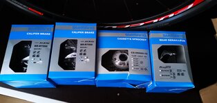 IMG_20201105_170832.jpg
