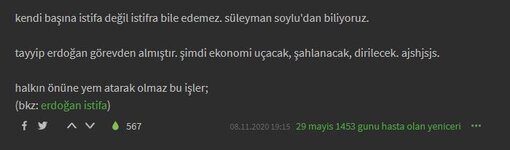 ekşi.JPG