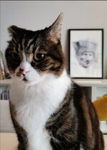 Screenshot_20201113_142709.jpg Screenshot_20201113_142709.jpg