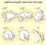 20201113_185702.jpg 20201113_185702.jpg