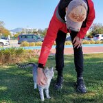 815CDA05-2042-4D17-B17F-BF0036A62171.jpeg 815CDA05-2042-4D17-B17F-BF0036A62171.jpeg