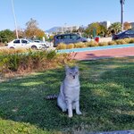 34719EC4-E5A4-4C85-9571-020B6E6CA02E.jpeg 34719EC4-E5A4-4C85-9571-020B6E6CA02E.jpeg