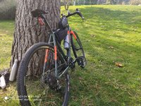 IMG_20201115_122054.jpg IMG_20201115_122054.jpg