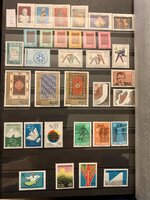 IMG_3211.jpg IMG_3211.jpg