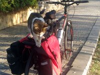 P_20201117_160306 kopya.JPG P_20201117_160306 kopya.JPG