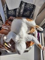 IMG-b75bf04bef4665465a22ceac49e0e8b9-V.jpg IMG-b75bf04bef4665465a22ceac49e0e8b9-V.jpg