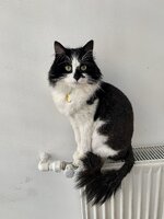 DE7FA9DA-8C7E-4BC3-B52E-FF6A6C36F46E.jpeg DE7FA9DA-8C7E-4BC3-B52E-FF6A6C36F46E.jpeg