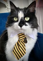 3A0B0D2A-9F90-4815-864F-F3D49B879626.jpeg 3A0B0D2A-9F90-4815-864F-F3D49B879626.jpeg