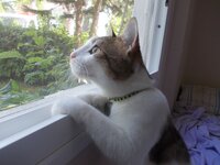 DSCN4082.JPG DSCN4082.JPG