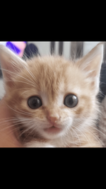 5923ED39-AA85-4EF3-87B6-8F141BFB4716.png 5923ED39-AA85-4EF3-87B6-8F141BFB4716.png