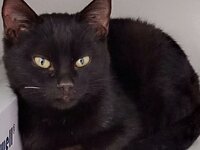 IMG_20201206_132524_778.jpg IMG_20201206_132524_778.jpg