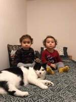 WhatsApp Image 2020-12-09 at 19.59.03.jpeg