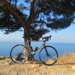 IMG_20200805_114534_536.jpg IMG_20200805_114534_536.jpg