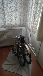 IMG_20201215_150236.jpg